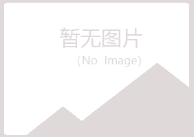 合山字迹服务有限公司